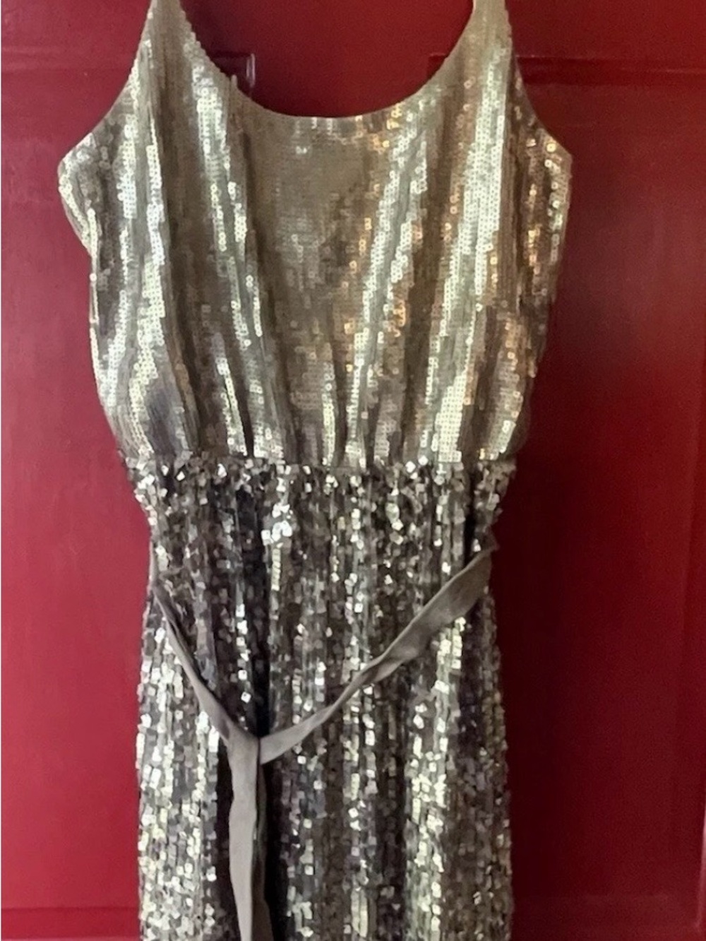 Express Silver Sequin Cami Dress